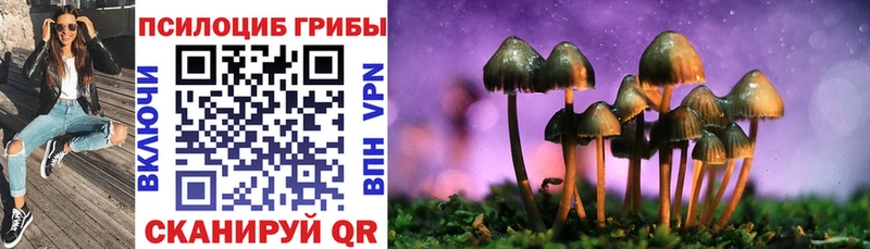 Галлюциногенные грибы Psilocybine cubensis  Верхний Уфалей 